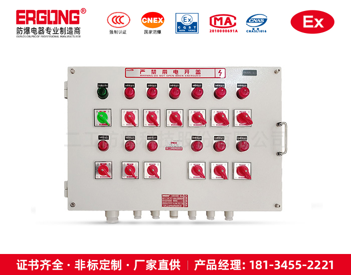 防爆配電箱（柜）-21
